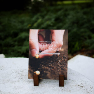 Book | Biblical Principles of Finance