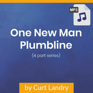 One New Man Plumbline MP3