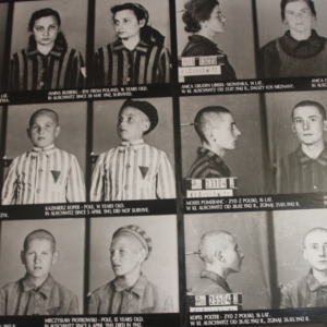 Holocaust Survivors 2