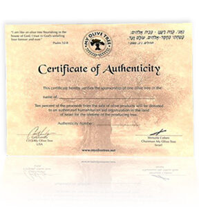 certificate13x10