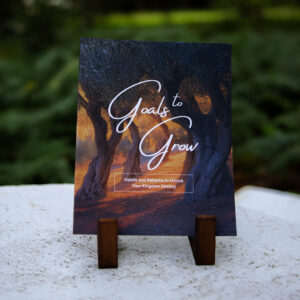 Book | Goals to Grow: Habits and Patterns to Unlock Your Kingdom Destiny